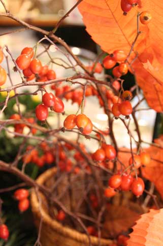 花ギフト｜フラワーギフト｜誕生日　花｜カノシェ話題｜スタンド花｜ウエディングブーケ｜花束｜花屋｜すずばら