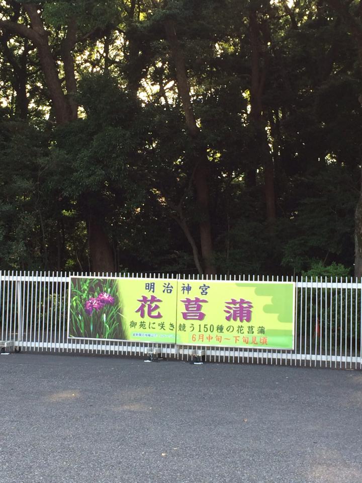 花ギフト|フラワーギフト|誕生日 花|カノシェ話題|スタンド花|ウエディングブーケ|花束|花屋|10460715_605364522904178_6995626882065601272_n
