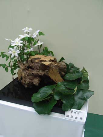 花ギフト|フラワーギフト|誕生日 花|カノシェ話題|スタンド花|ウエディングブーケ|花束|花屋|草月