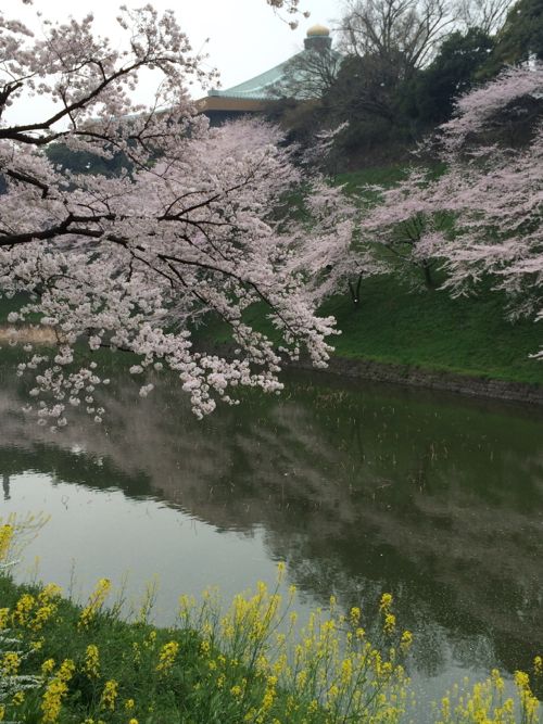 花ギフト|フラワーギフト|誕生日 花|カノシェ話題|スタンド花|ウエディングブーケ|花束|花屋|IMG_7679