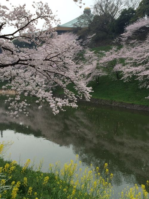 花ギフト｜フラワーギフト｜誕生日　花｜カノシェ話題｜スタンド花｜ウエディングブーケ｜花束｜花屋｜IMG_7679