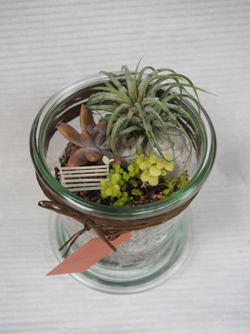 花ギフト|フラワーギフト|誕生日 花|カノシェ話題|スタンド花|ウエディングブーケ|花束|花屋|池田まあやちゃん