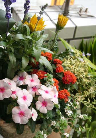 花ギフト|フラワーギフト|誕生日 花|カノシェ話題|スタンド花|ウエディングブーケ|花束|花屋|寄せ植え