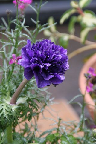 花ギフト｜フラワーギフト｜誕生日　花｜カノシェ話題｜スタンド花｜ウエディングブーケ｜花束｜花屋｜f43665da