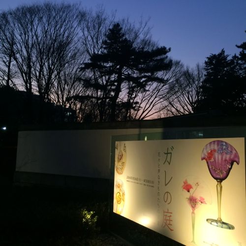 花ギフト|フラワーギフト|誕生日 花|カノシェ話題|スタンド花|ウエディングブーケ|花束|花屋|IMG_9096