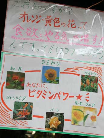 花ギフト|フラワーギフト|誕生日 花|カノシェ話題|スタンド花|ウエディングブーケ|花束|花屋|タム2