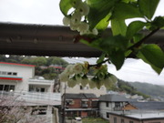 DSC02550