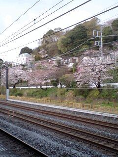 110409_1613_0001