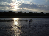 rure blog open
