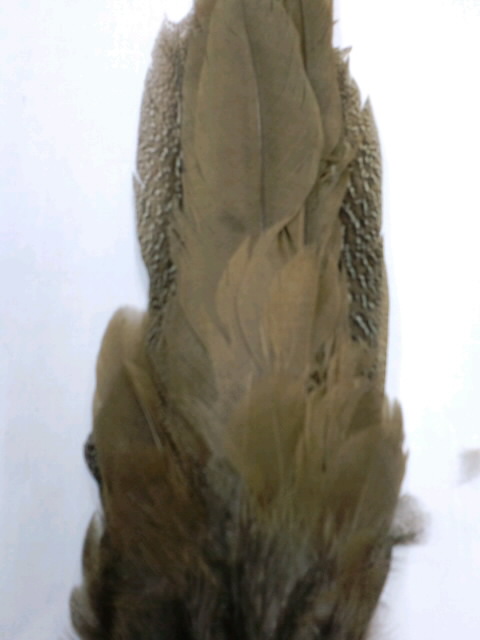 CA3C00840001