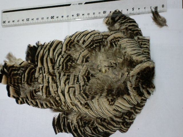 CA3C0106
