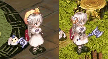 20060708-006.gif