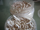saibai