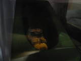 ¤¢¤ª¤à¤±¤ª¤ª
