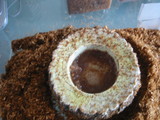 rennjitu