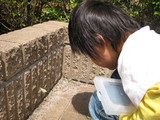 teisyu2