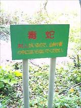 �ޤष����