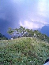 摩周湖第3展望台2