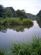 池