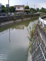 手児名川