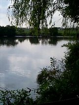 渡し対岸