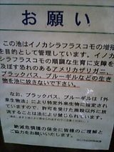 ���Υ�����ե饹�����ܿ�