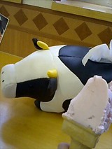 リスの森ジェラート