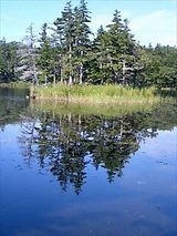 知床五湖(4湖)