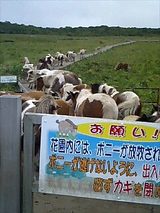 原生花園入り口