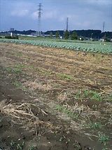 �ȥ��������Ȫ��