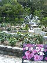 b0b1738f.jpg