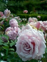 e2111f0d.jpg