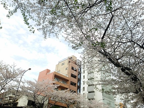 16-04-04-14-48-19-650_photo