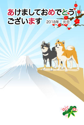 柴犬ペア02