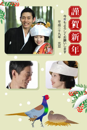 雉