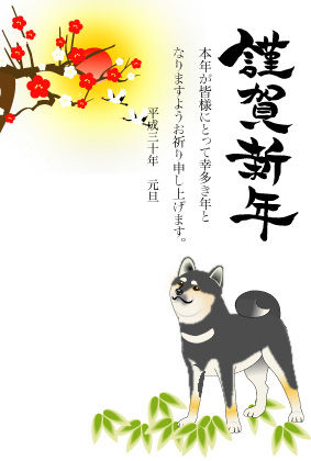 黒柴01