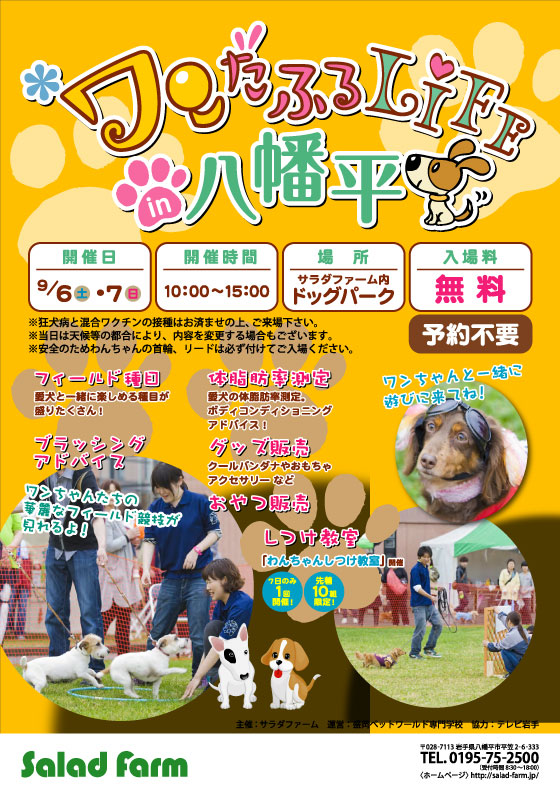 WANだふるLIFE詳細POP