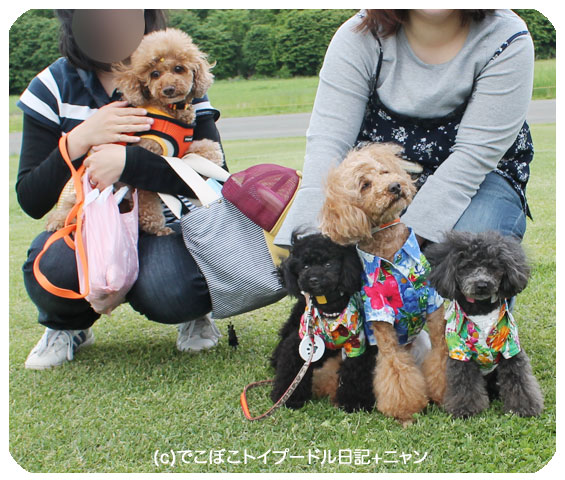 集合写真07