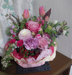 Blog