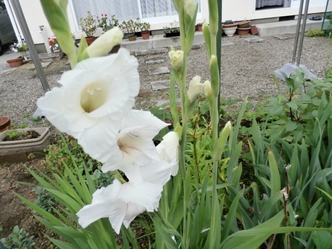 P7040022