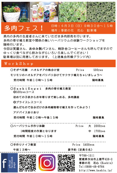 多肉フェス!