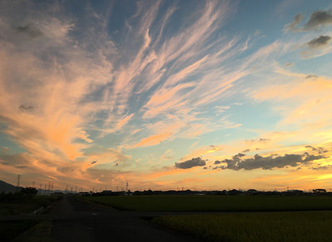 kumo3-3