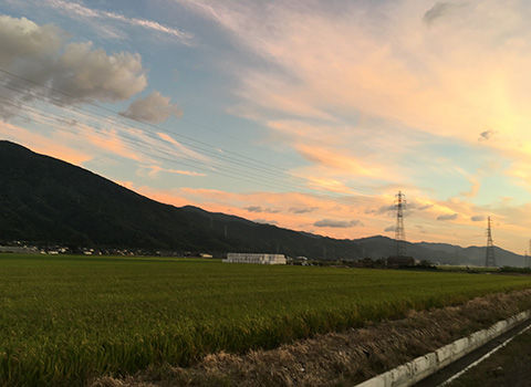 kumo5