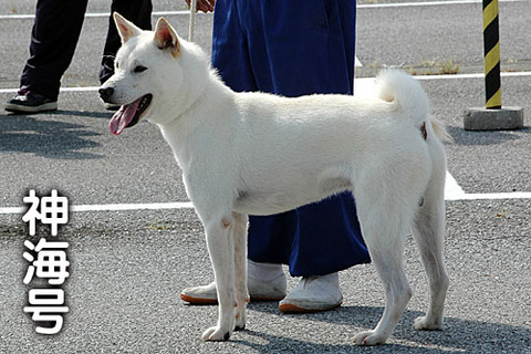 20110925神海