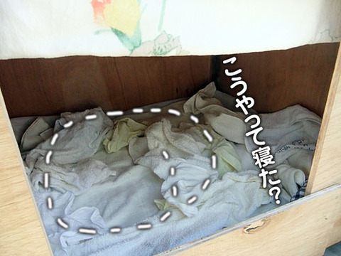 2011122406