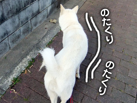 2011060701