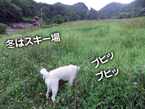2011070904