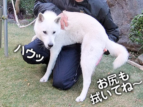 2010113011