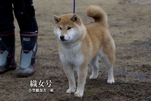 2014030501