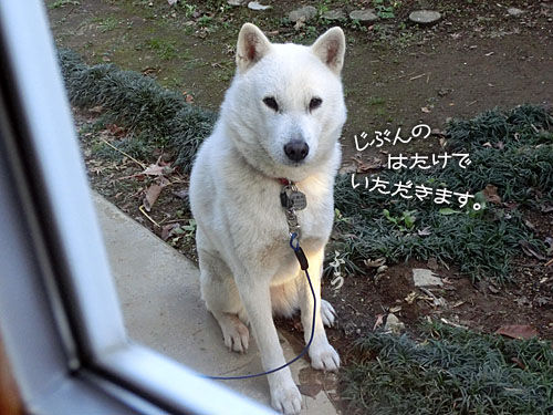 2014121208